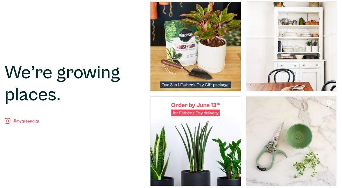 Screen Shot 2021-06-13 at 9.23.05 PM