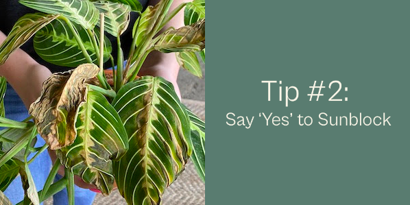 Screen Shot 2021-07-18 at 11.04.03 PM