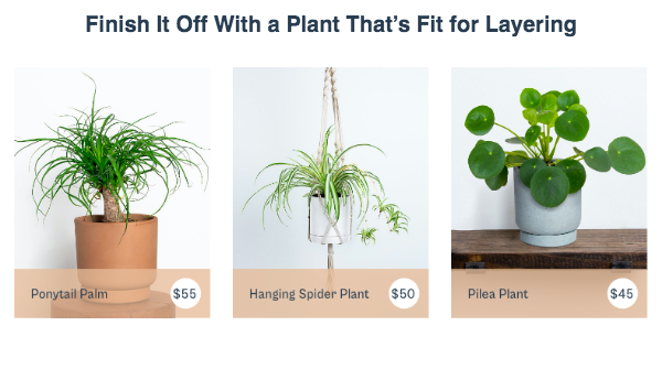 Screen Shot 2021-07-22 at 11.35.05 PM